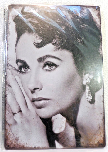 Plaque metal vintage 20x30 - metal,