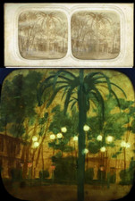 vue polyoramique LE PALMIER