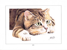  reproduction d'aquarelle chat
