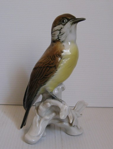 0000 karl ens - karl, bird