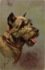 CPA AK Pinscher Schnauzer DOGS