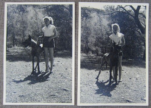 Photos originales 1950 s - photos,