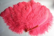 Ancien Grand Éventail Plumes