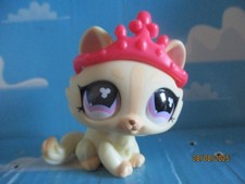 PETSHOP CHAT SPHYNX N°848 +