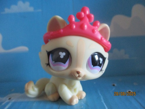 Petshop chat sphynx 848 - petshop,