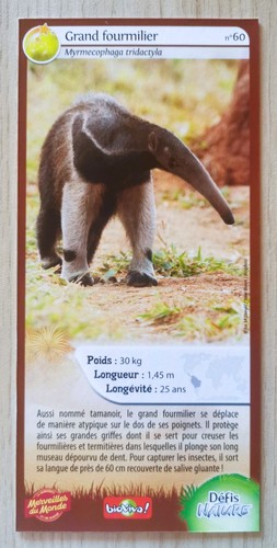 Carte merveilles monde - monde,