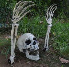 Décoration Halloween Squelette – 2 Mains + 1 Tête pour Jardin