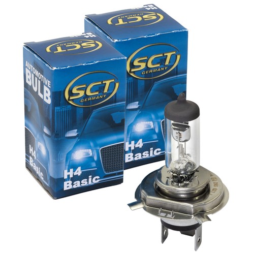 Ampoule pièces basic 12v - pièces,