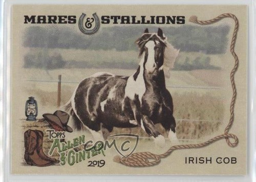 2019 topps allen ginter - &,