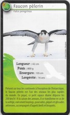Super U Card - Bioviva! - Peregrine Falcon