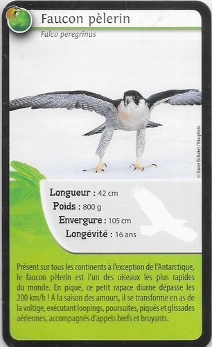 Carte super bioviva - carte,