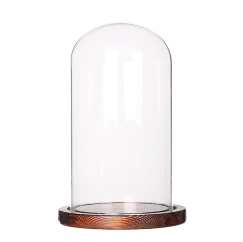 Cloche verre diamètre 25 - cloche,