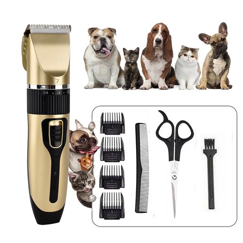 Tondeuse pour chien - tondeuse,
