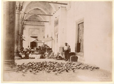 Abdullah frères. Turquie, les pigeons  Vintage albumen print  Tirage albuminé 