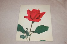 ANCIENNE PUBLICITÉ PHARMACEUTIQUE  HYDROSARPAN FORT " les rosiers" La jolie