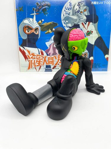 Kaws resting place - resting,