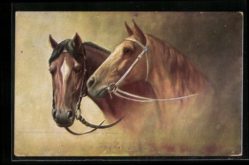 Portrait deux chevaux - de,