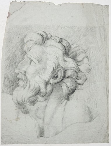 Tête homme barbu - tête, d’un