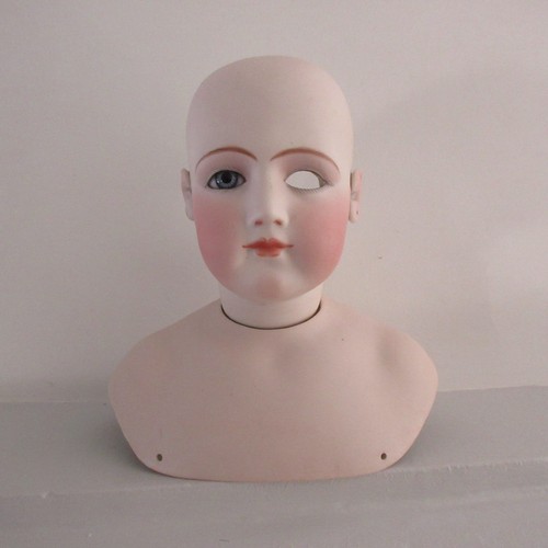 Grande belle tête - et, buste