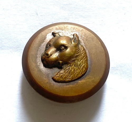 Ancien bouton chasse - ancien, de