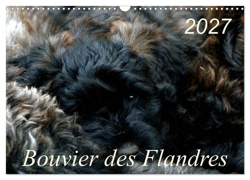 Calendrier 2027 french - calendrier, ·
