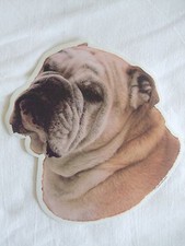 GRAND AUTOCOLLANT - motif