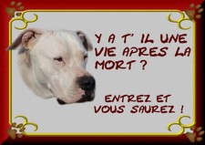 PLAQUE DE GARDE AMERICAN STAFF