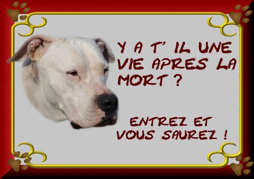 Plaque garde american - de,