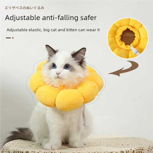 Collier protection chat chien - collier,