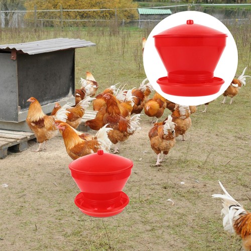Mangeoires pour poulets - mangeoires,