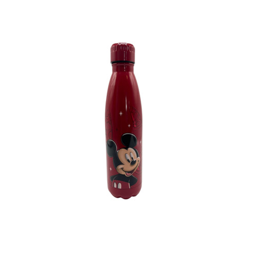 Gourde métal mickey mouse - gourde,