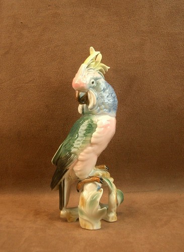 Bel ancien perroquet - bel,