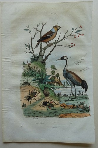 Gravure 1835 dictionnaire - gravure,