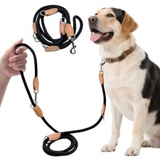 Laisse Chien Noire 2.2m