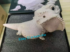 Animal Planet Animal Heavenly