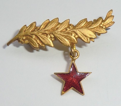 Broche palme dorée étoile - dorée,