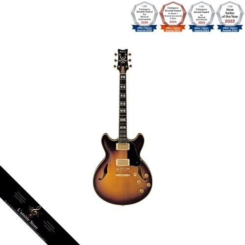 Guitare semi acoustique ibanez - guitare,