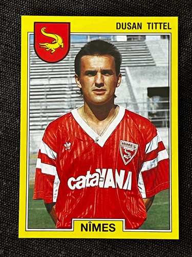 Vignette sticker panini foot - vignette,