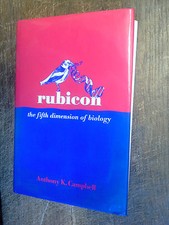 Rubicon the fifth dimension of