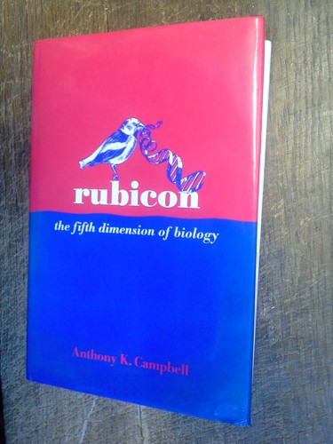 Rubicon the fifth - , of