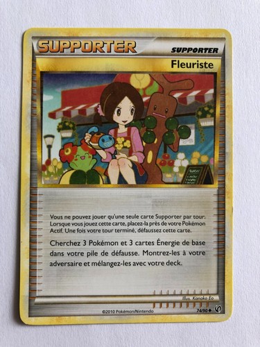 Fleuriste supporter - 74/90,