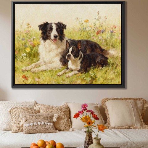 Border collie dog artwork - collie,