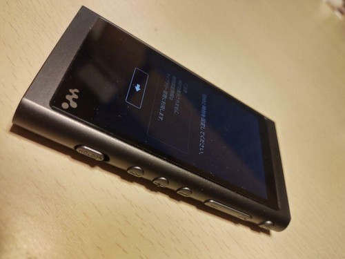 Sony a55 walkman - nw-a55, series