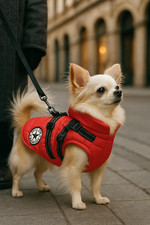 Dog Winter Jacket with Harness