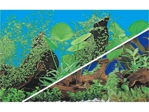 Poster fond aquarium decors - aquarium,