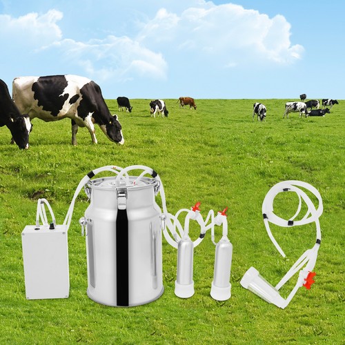 Pulsation electric cow milking - pulsation,