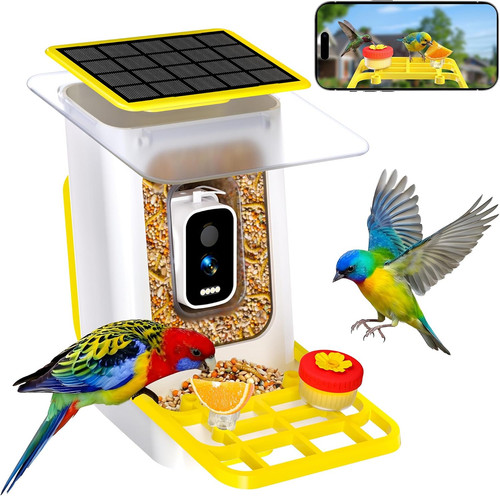 Bird feeder with - bird,