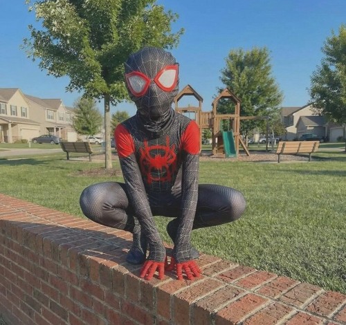 Déguisement spider man miles - déguisement,