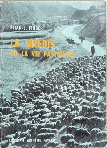 Brebis vie pastorale - ou,