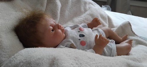 Bébé reborn préma - bébé,